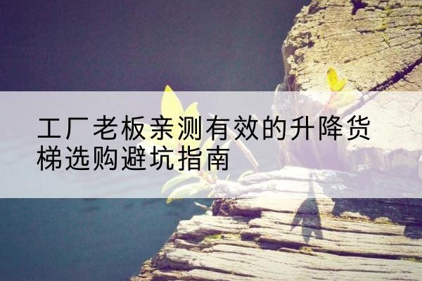 梁园升降货梯怎么选-工厂老板亲测有效的升降货梯选购避坑指南