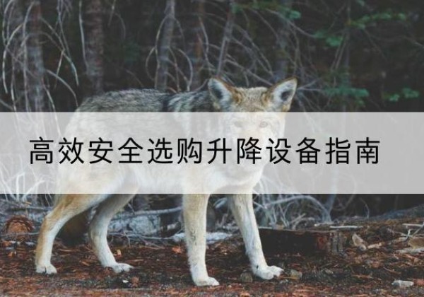 梁园升降货梯厂家推荐-*安全选购升降设备指南