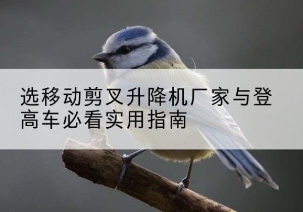 梁园电动升降机厂家-选移动剪叉升降机厂家与登高车必看实用指南