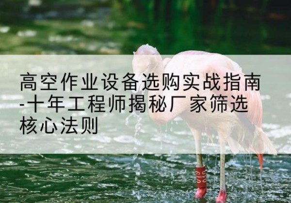 梁园剪叉式升降机厂家-高空作业设备选购实战指南-十年工程师揭秘厂家筛选核心法则