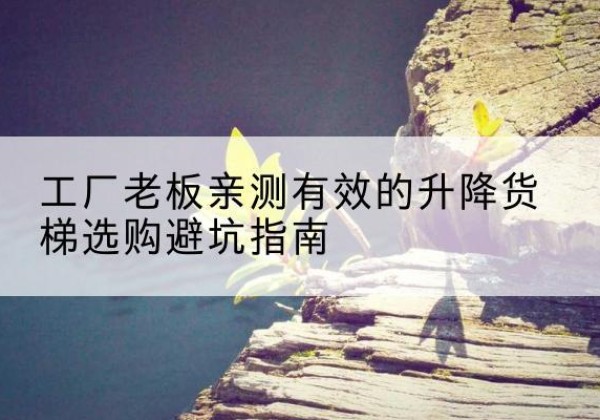 梁园升降货梯怎么选-工厂老板亲测有效的升降货梯选购避坑指南